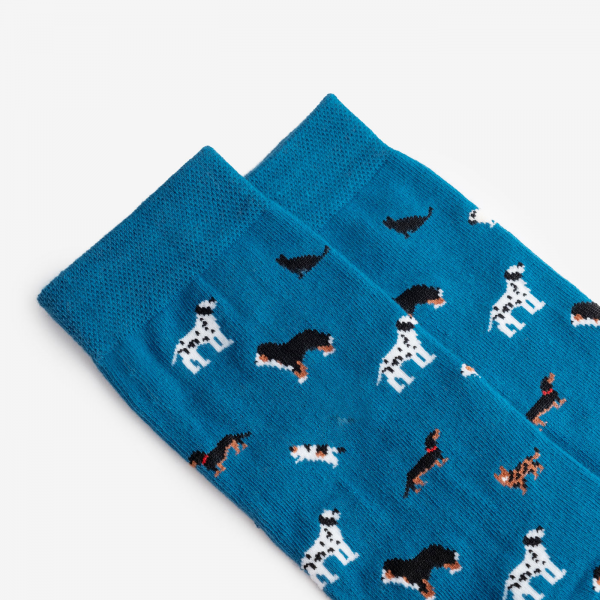 Jarun Socken kaufen Mainz Online Shop Dodo Socks Hunde und Katzen Socken 01